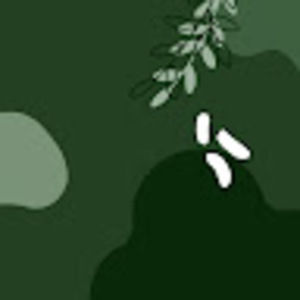 Meet your Posher, Ashleigh